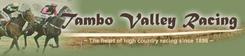 Tambo Valley Races Banner